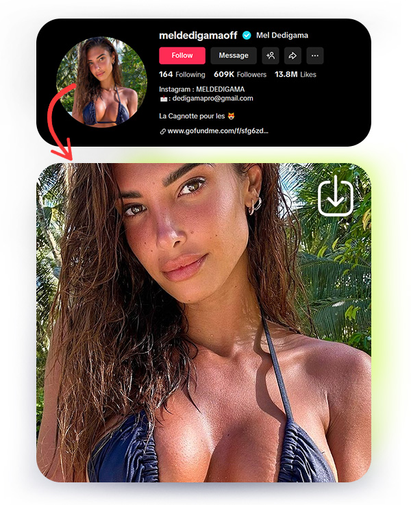Download Full-Size TikTok Profile Picture Instantly