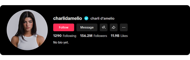 Charli D’Amelio on TikTok