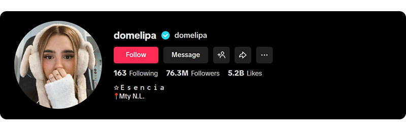 Domelipa on TikTok
