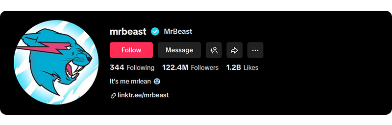 MrBeast on TikTok