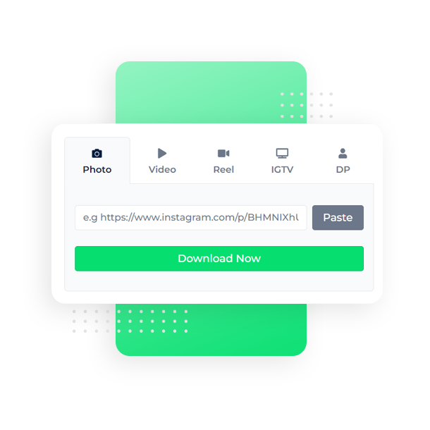Paste the link into the field and click the Download Now button.