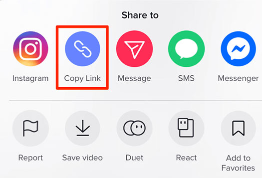 Copy the URL of the TikTok video you wish to download