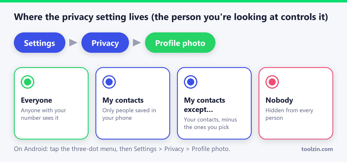 WhatsApp profile photo privacy options: Everyone, My contacts, My contacts except, Nobody